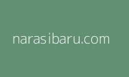 Oke Gaspol! Riau-Sumbar Sedetik Lagi Tersambung Jalan Tol Super Canggih pada April 2024, Bikin Sumbar-Riau Semakin Lengket seperti Perangko?