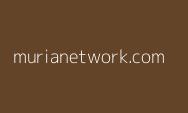 Bukan 10 Pi, untuk Kebebasan Finansial 100 Tahun Pionir Pi Network Butuh 100 Pi?