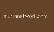 Yang punya mimpi kuliah ke KOREA, cek 7 beasiswa fully funded untuk semua level!