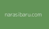 Pemburu Koruptor Bakal Dapat Hadiah Kalau AMIN Terpilih