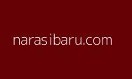 Kabar Gembira, Ada Kuota CASN 2024 Bagi Tenaga Honorer yang Tidak Lolos PPPK 2023!