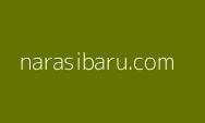 Ganjar Resmikan Rumah Pembauran Jateng, Lihat Baju yang Dikenakan