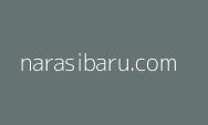 Menteri PANRB Berbicara dengan Otorita IKN Tentang Pelaksanaan 'Smart Government' di IKN, Begini Penjelasannya!
