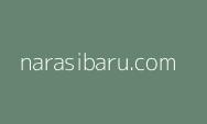 LVRI Kabupaten Sleman Terima Bantuan dari BAZNAS dalam Peringatan Hari Ibu