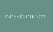 Kemenhub: Sejumlah Bandara Dibangun Hingga ke Penjuru Negeri