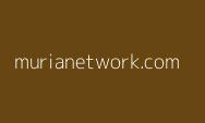 Terkuak Fakta Mengejutkan, Akses ke Server PDN Ternyata Cuma Pakai Password Admin#1234