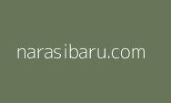 Akhirnya ASN Wanita Digerebek Bareng Wabup Rohil Dinonaktifkan, Apa Kata Pengamat?