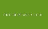 Pi Blockchain Network, Melangkah sebagai Pesaing Menjanjikan di Dunia Blockchain