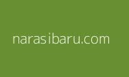 Uang Puluhan Juta Warga Boponter Kota Depok Lenyap di Libur Nataru, Ini Daftar Barang Berharga yang Digondol Maling
