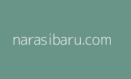 Kemenhub: Sejumlah Bandara Dibangun Hingga ke Penjuru Negeri