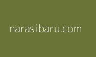 Soal Sampah di Pantai Sukaraja, DPRD Lampung: Walikota Eva Jangan Lempar Tanggungjawab
