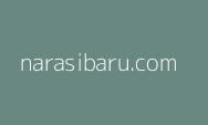 Kabar Gembira, Ada Kuota CASN 2024 Bagi Tenaga Honorer yang Tidak Lolos PPPK 2023!