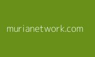 Selain Pi Network! Investasi Disini Juga bisa Membuat Anda Cuan, Apakah itu?