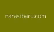 Daripada Subsidi Kendaraan Listrik, Lebih Baik Bangun Tanggul di Jateng
