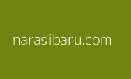 Bawaslu Jakarta Pusat Memastikan Tidak Ada Intervensi Istana Terkait Kasus Pelanggaran Kampanye Gibran Rakabuming Raka