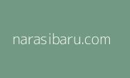 Pemkab Murung Raya Ikuti Sosialisasi SIA SPBE Nasional
