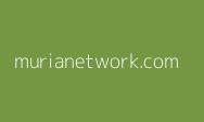 Ratusan APK di Mayangan Diturunkan, Bawaslu Ungkap Alasan Masih Banyak Pemasangan APK Melanggar Aturan