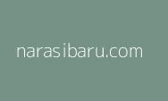 Uang Puluhan Juta Warga Boponter Kota Depok Lenyap di Libur Nataru, Ini Daftar Barang Berharga yang Digondol Maling