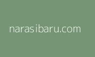 TKN Prabowo-Gibran Janjikan Program Kredit Start-Up