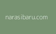 Anggota F-PDIP DPRD DKI Usul Jalur Sepeda Warisan Anies Diubah Jadi Jalur Khusus Motor