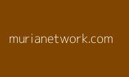 KABAR PENTING Pi Network Pembaruan PiApp: Antisipasi Dibalik Gangguan Sementara, Ternyata ini Langkahnya