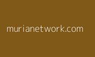 Belum Menikah Tetap Bisa Ajukan KUR? Ini Syarat dan Ketentuannya, Berlaku untuk KUR BRI, Mandiri, BNI, BTN dan BPD