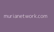 Selain Pi Network! Investasi Disini Juga bisa Membuat Anda Cuan, Apakah itu?