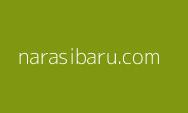 Usulan Kenaikan Gaji Bawaslu Disetujui DPR RI