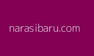 Firli Bahuri Menghindar Usai Diperiksa Kasus SYL, Tutupi Wajah Pakai Tas