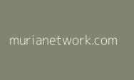 Starlink Berbahaya bagi Indonesia