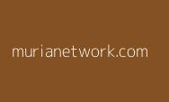 Peluncuran Platform Jagapemilu.com, Ini Harapan Pemerhati Pemilu Bersih