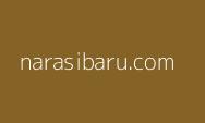 Kabar Terbaru! ASN Pindah ke IKN Tidak Gratis, Harus Bayar Sewa Rumah
