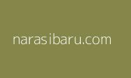 Waspada! Beberapa Penyakit yang Mengintai di Musim Hujan