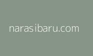 Penjelasan Mabes TNI soal Panglima Perintahkan 'Piting' Warga Rempang: Itu Bahasa Prajurit, Artinya Merangkul