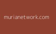 Pi Blockchain Network, Melangkah sebagai Pesaing Menjanjikan di Dunia Blockchain