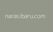 Medsos Sangat Besar Pengaruhi Masyarakat Atau Pemilih di Pemilu 2024, Pemerintah Wajib Lawan Hoaks Karena Bukan Hal Yang Rumit