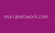 Pi coin dalam Sorotan: Analisis Harga dan Perspektif Investor, Apakah Pi Network Dahsyat? ini Penjelasannya