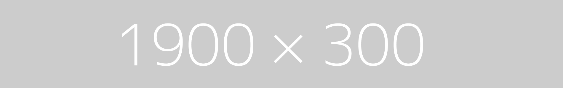 End-to-end baggage process