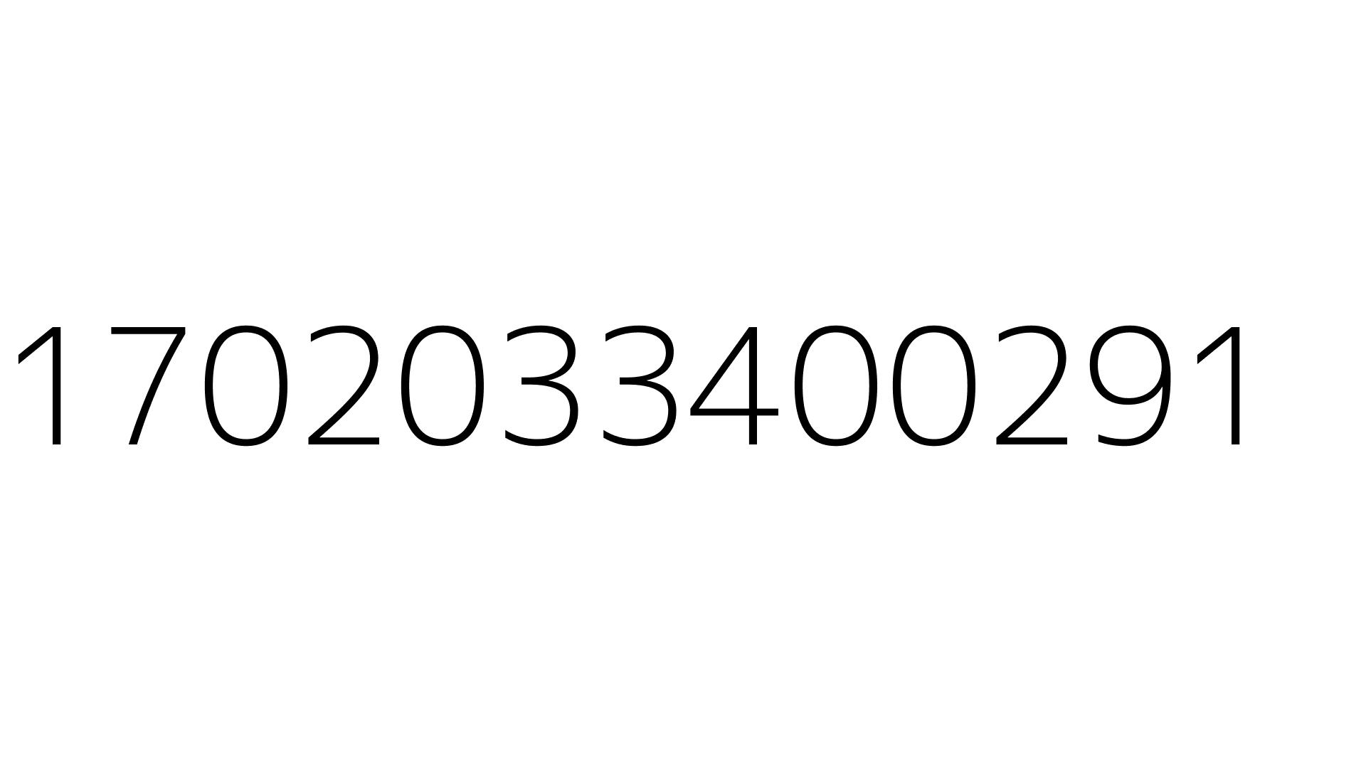 1702033400291