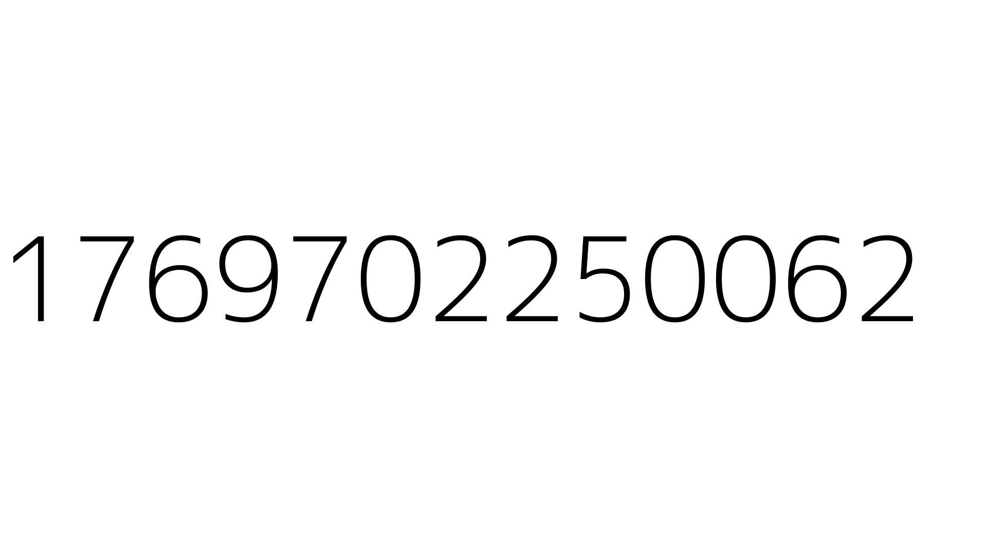 1769702250062