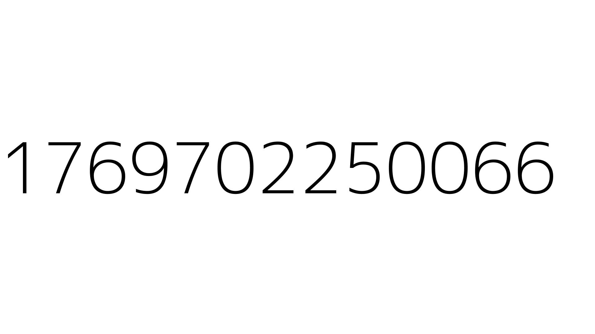 1769702250066