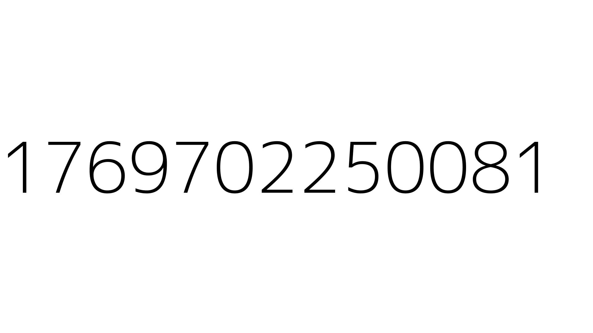 1769702250081