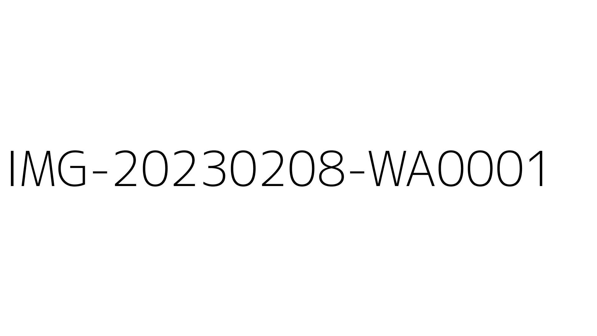 IMG-20230208-WA0001