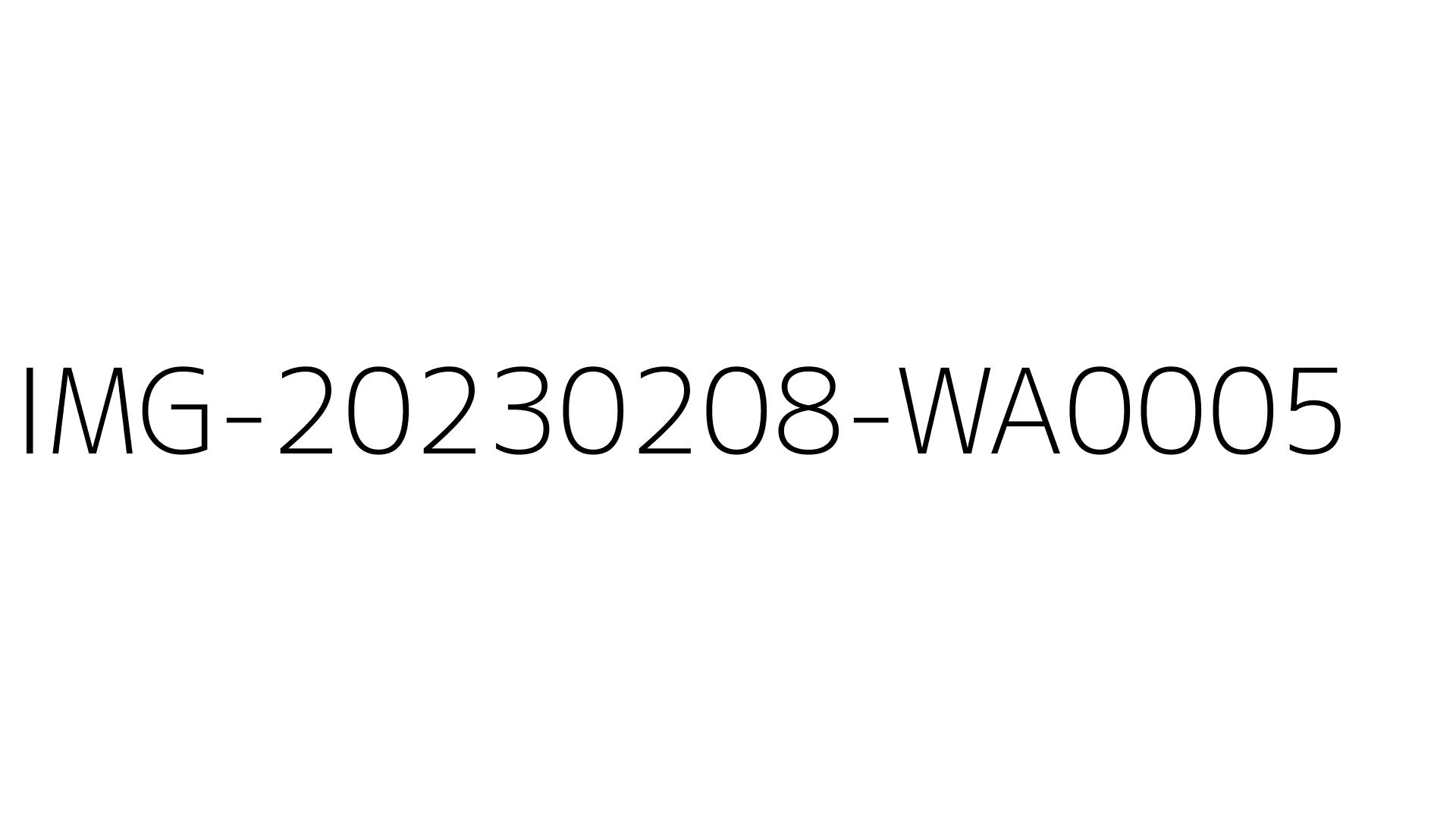 IMG-20230208-WA0005