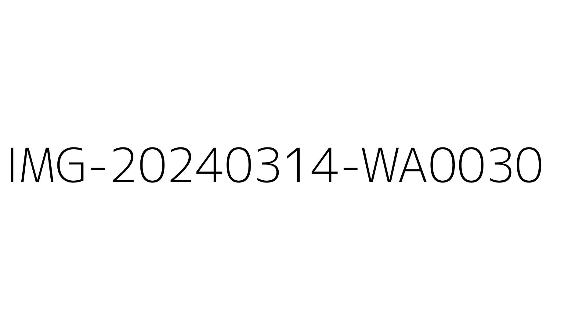 IMG-20240314-WA0030