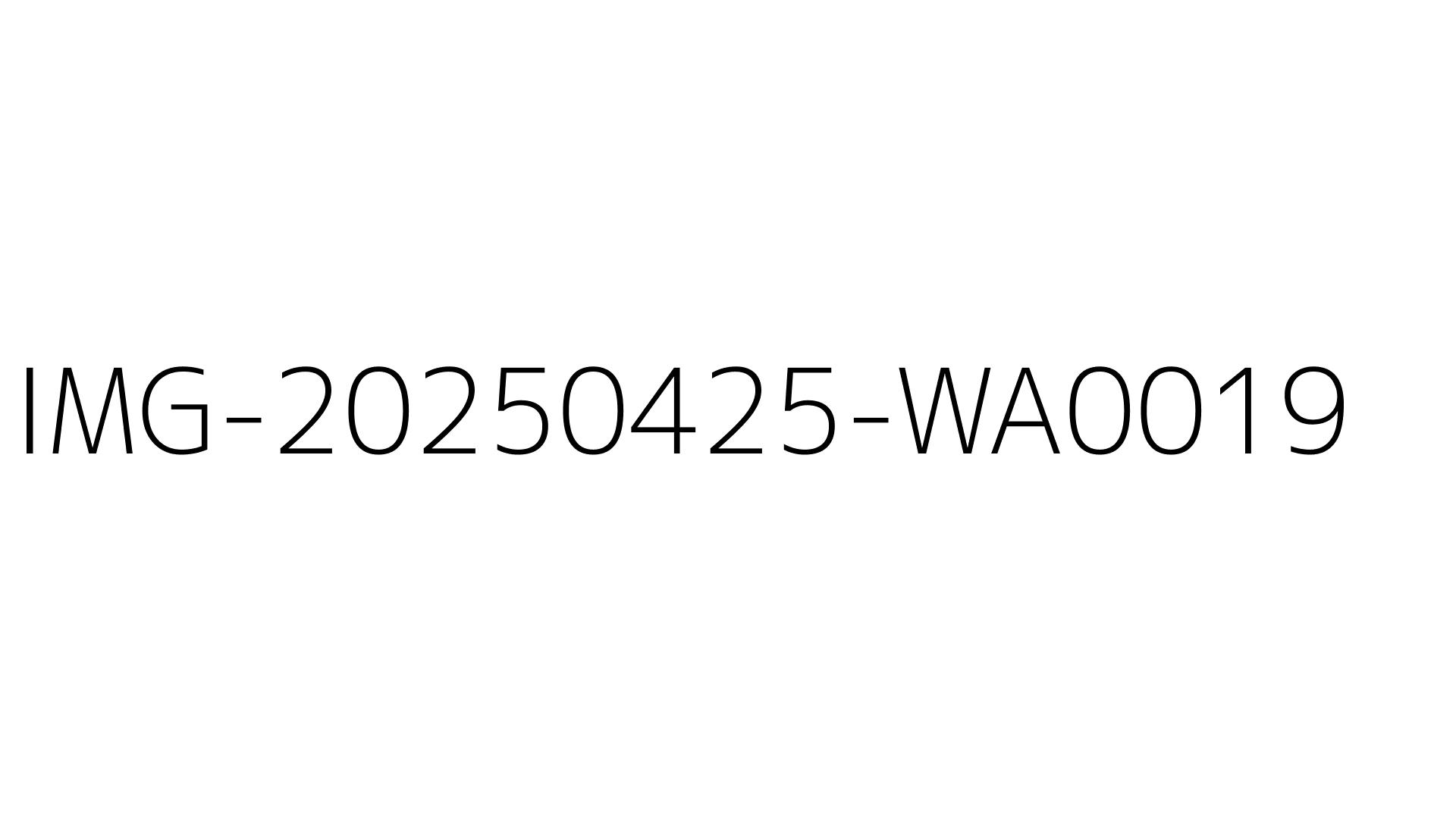 IMG-20250425-WA0019