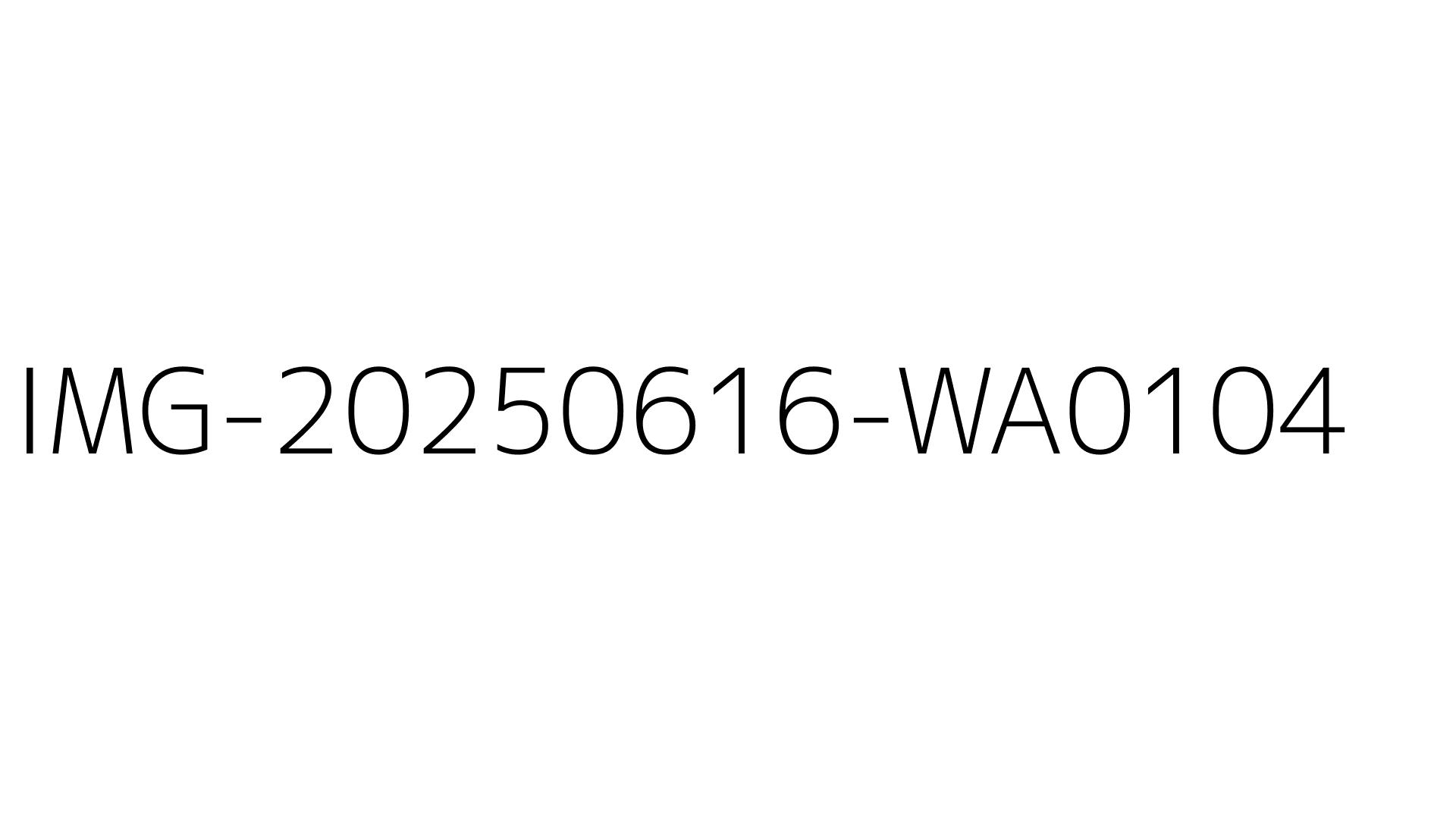IMG-20250616-WA0104