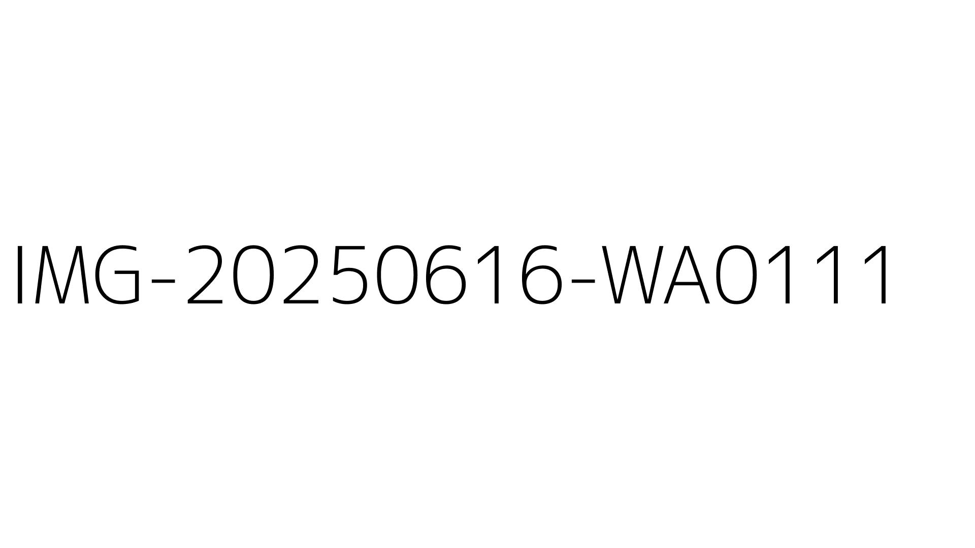 IMG-20250616-WA0111