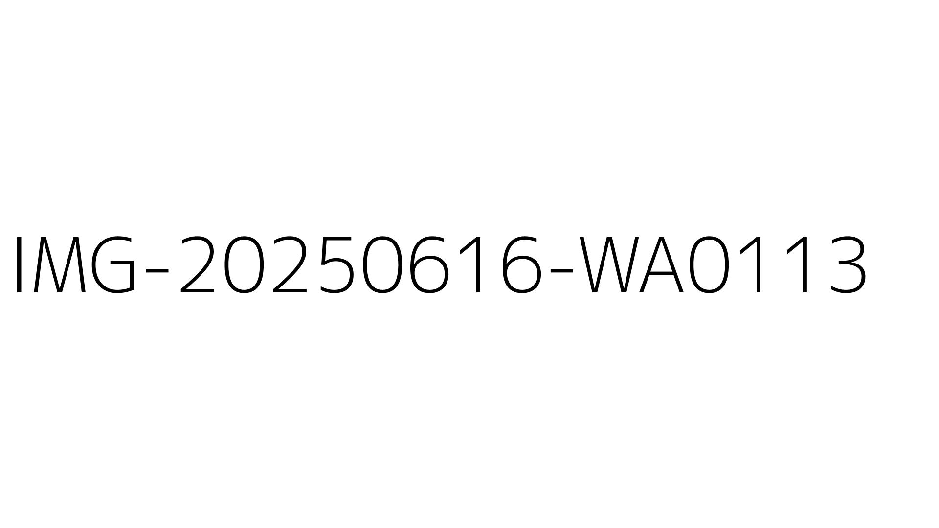 IMG-20250616-WA0113