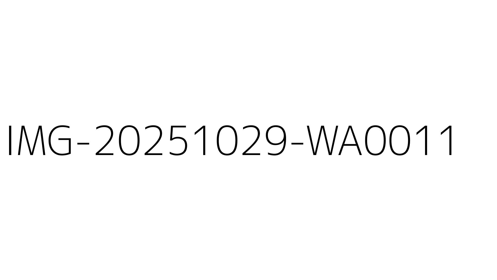 IMG-20251029-WA0011